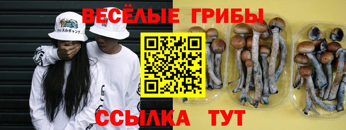 Острогожск  Галлюциногенные грибы прущие грибы  Галлюциногенные грибы Psilocybine cubensis  закладки  Вход с VPN 